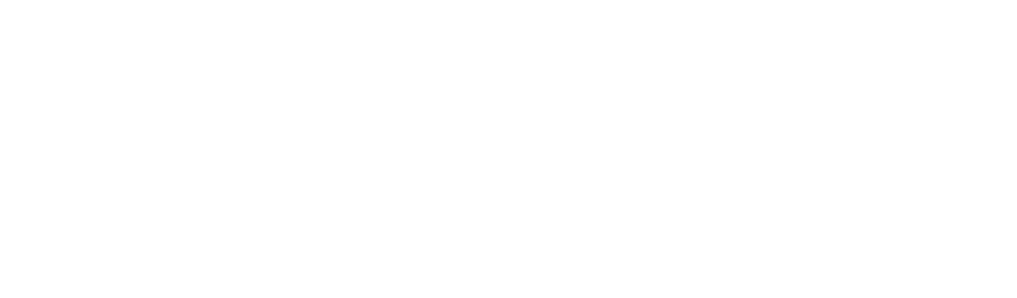 🥇  Cristales Premium
